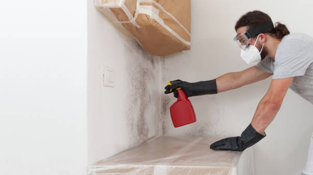 Professional Mold Testing technician working in Centerport, NY
