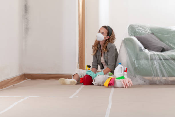 Reliable Mold Testing contractor in Centerport, NY by WQB Mold Removal